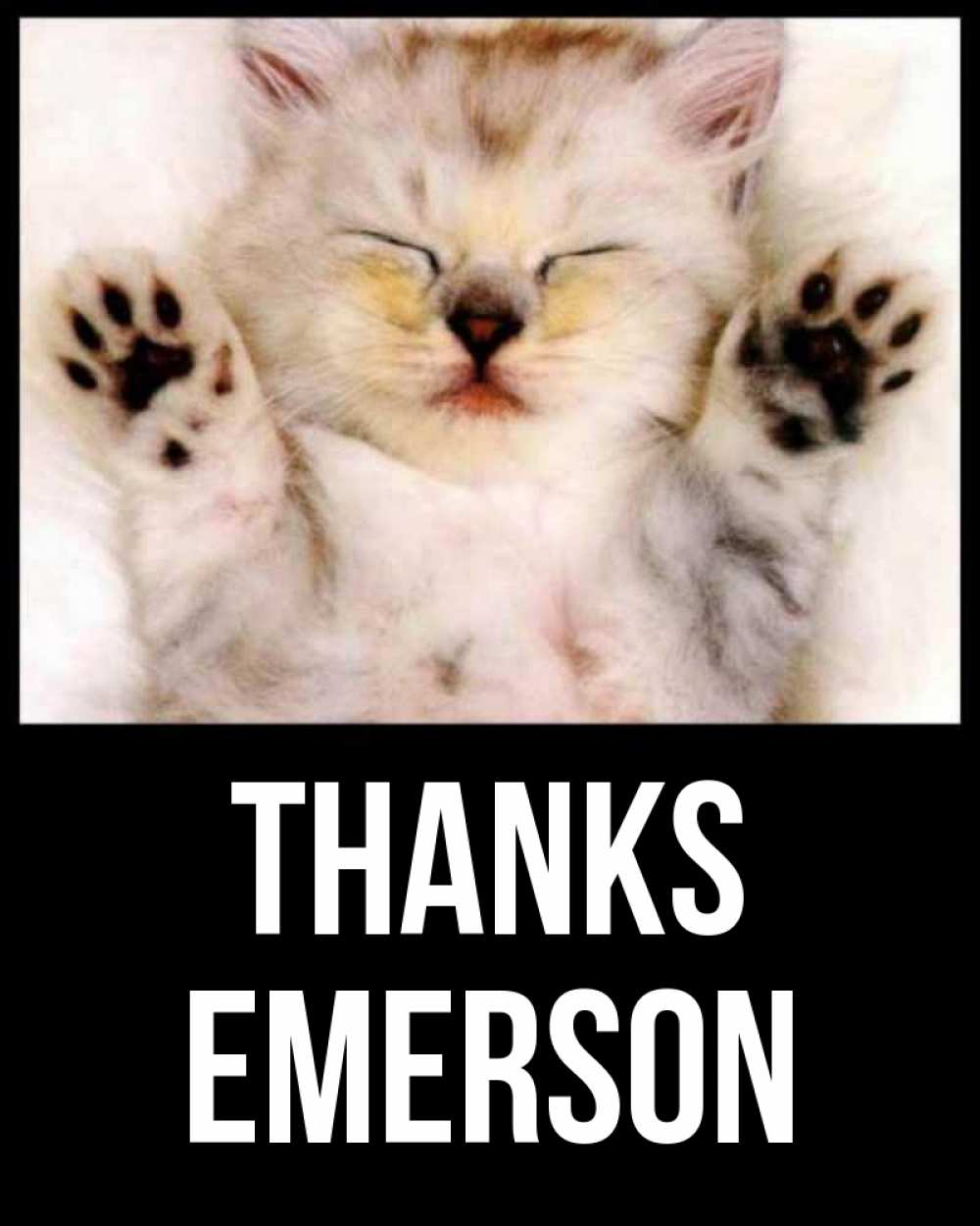 Greetings card с именем, Emerson Thanks маленький котенок Greetings with text for free download 