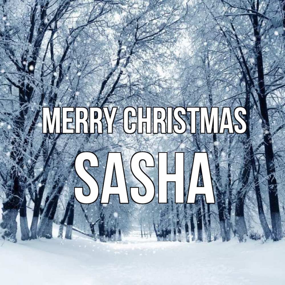 Greetings card с именем, Sasha Merry Christmas снег, лес, парк Greetings with text for free download 