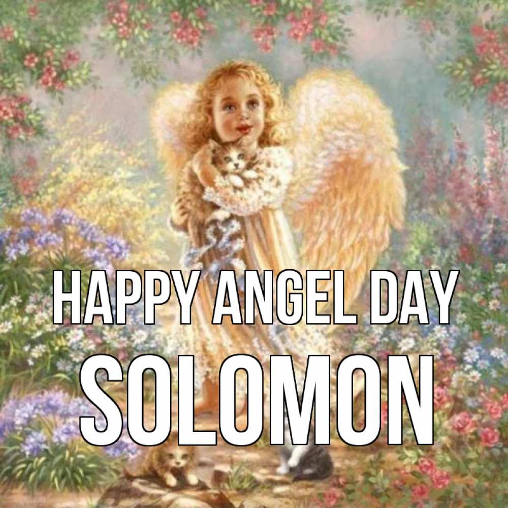 Greetings card с именем, Solomon happy angel day держит котенка Greetings with text for free download 