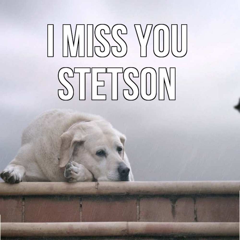 Greetings card с именем, Stetson I miss you ждет Greetings with text for free download 