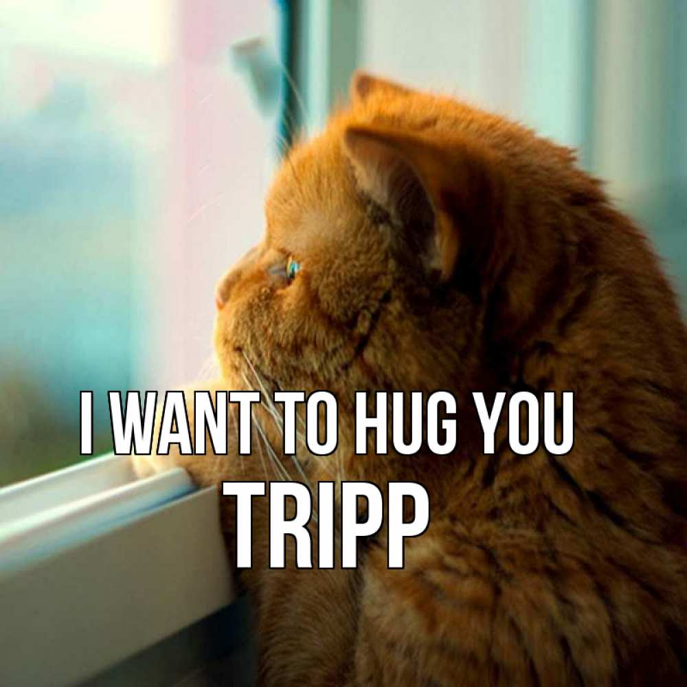 Greetings card с именем, Tripp I want to hug you большой огромный рыжий котяра Greetings with text for free download 