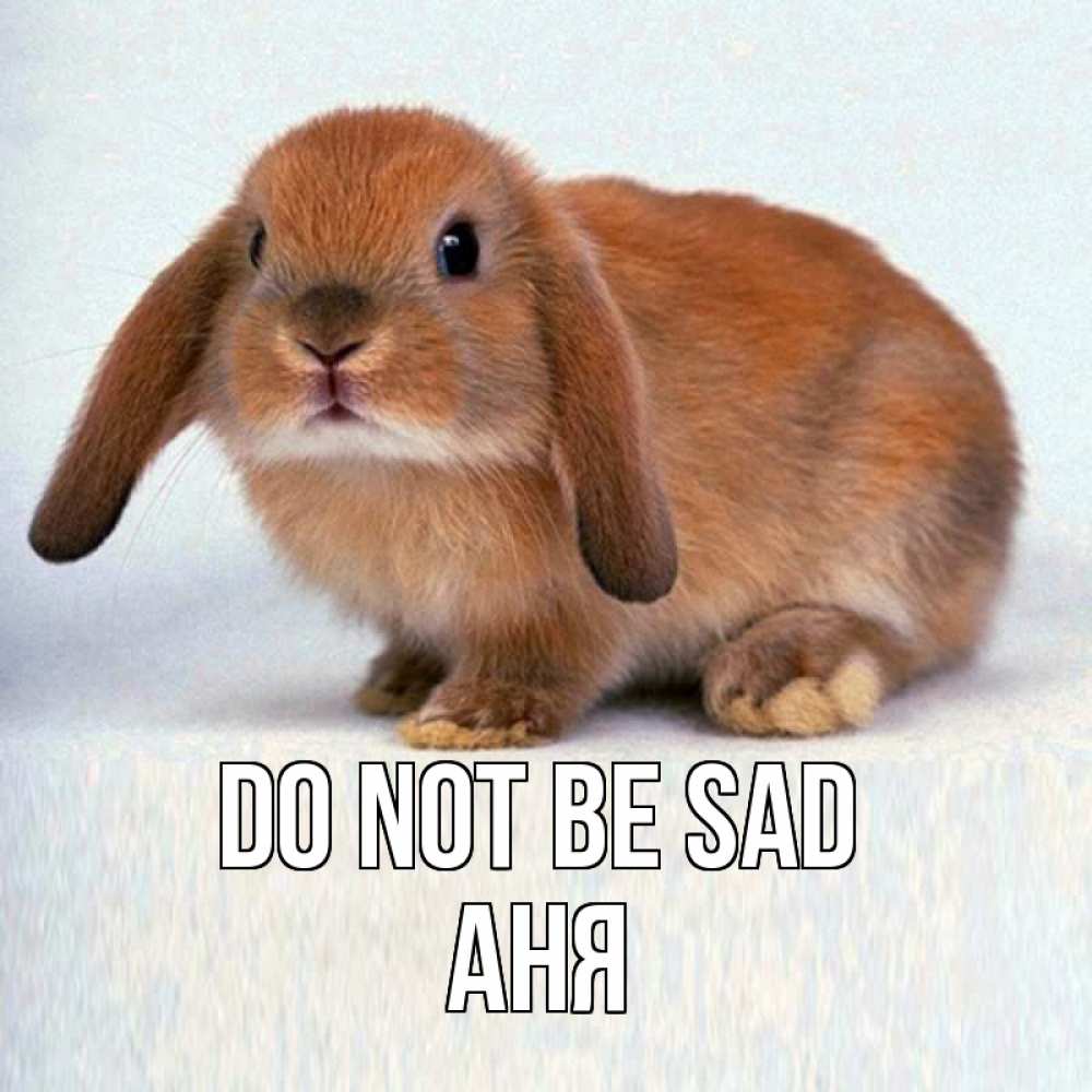 Greetings card с именем, Аня Do not be sad рыжий зая Greetings with text for free download 