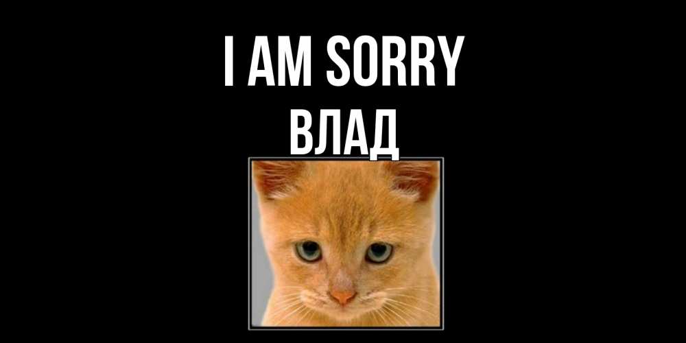 Greetings card с именем, Влад I am sorry рыжий грустный кот просит прощения Greetings with text for free download 