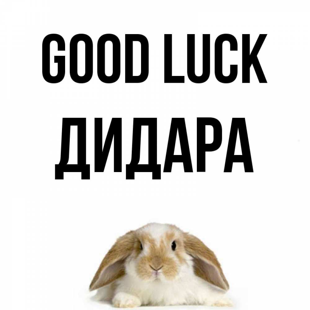 Greetings card с именем, ДИДАРА Good luck открытки с произвольным текстом который можно вставить в открытку и создать ее самостоятельно бесплатно онлайн Greetings with text for free download 