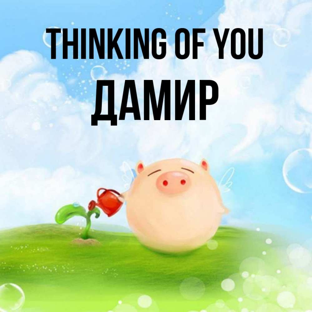 Greetings card с именем, Дамир Thinking of you позитивная свинюшка Greetings with text for free download 