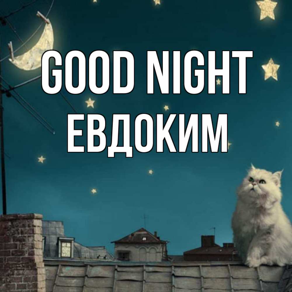 Greetings card с именем, Евдоким Good night белый кот сидит на крыше Greetings with text for free download 