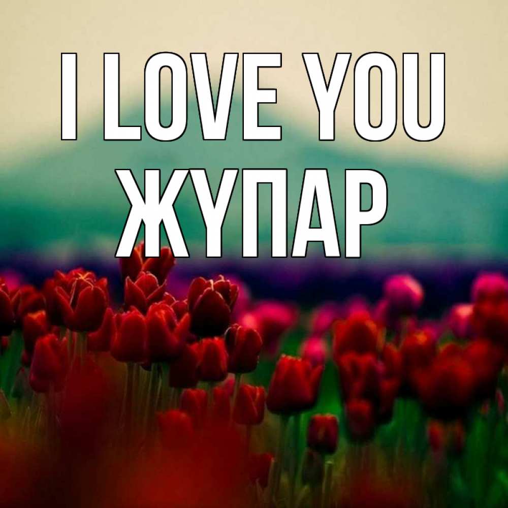 Greetings card с именем, ЖҮПАР I love you тюльпаны 4 Greetings with text for free download 