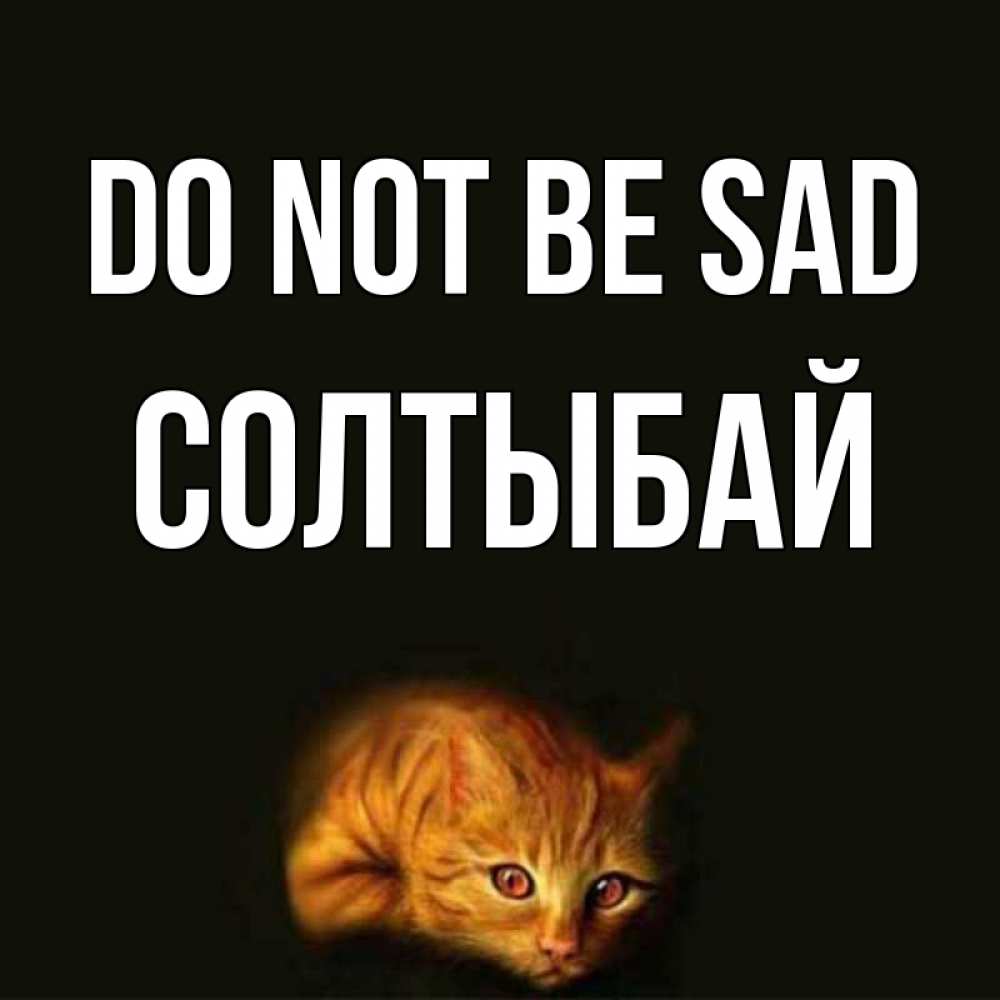 Greetings card с именем, СОЛТЫБАЙ Do not be sad лежащий кот в темноте Greetings with text for free download 