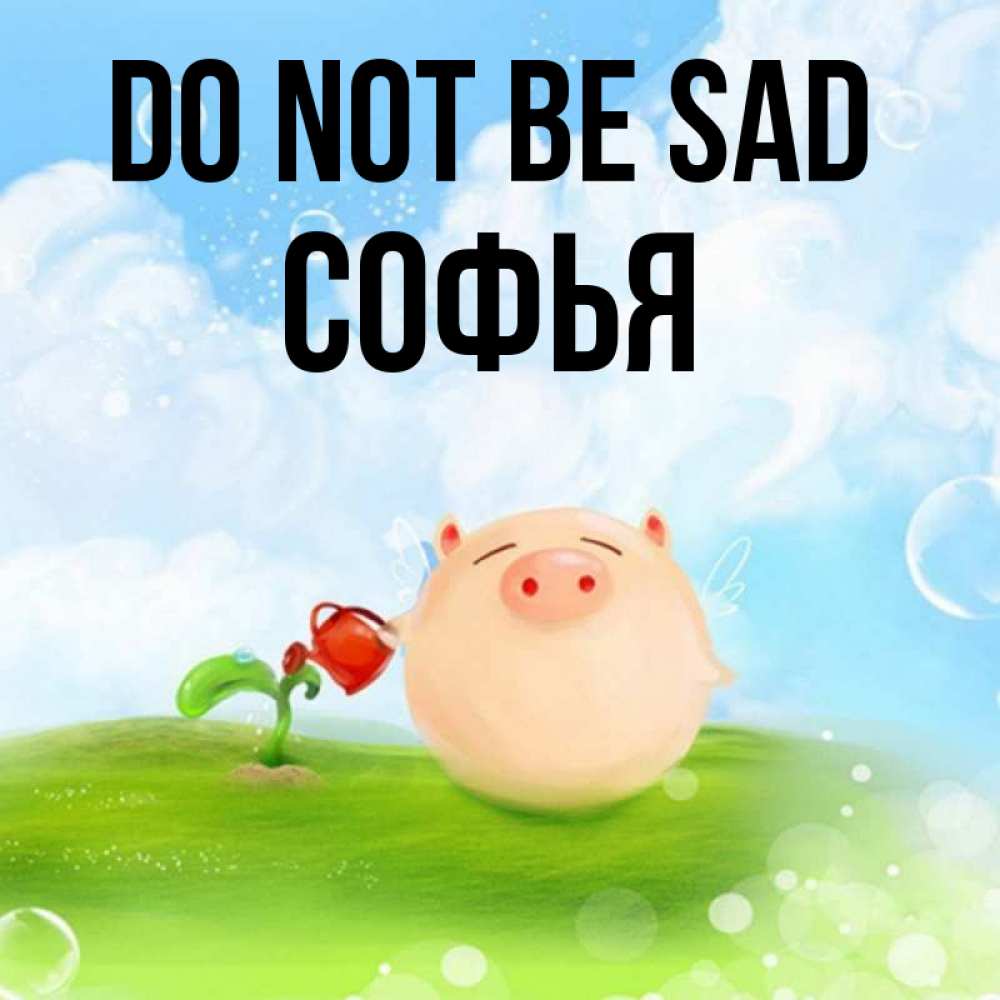 Greetings card с именем, Софья Do not be sad поливает цветок порося Greetings with text for free download 