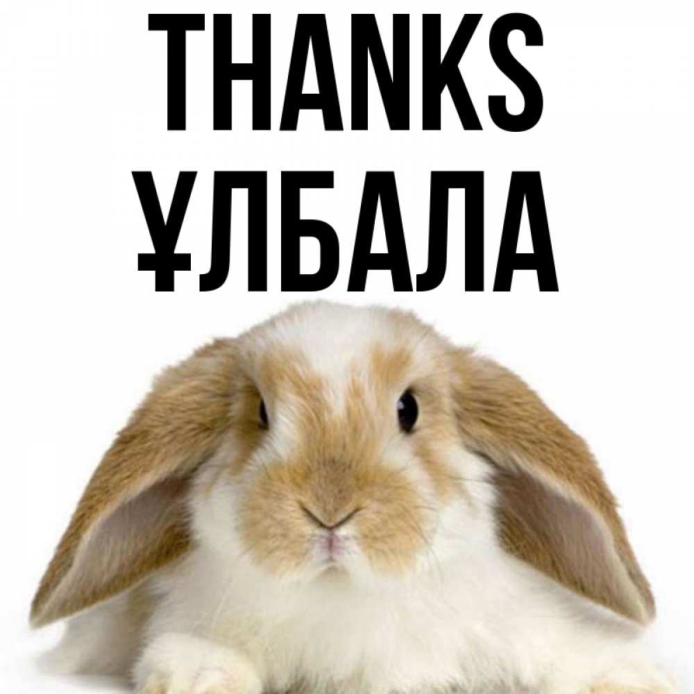 Greetings card с именем, ҰЛБАЛА Thanks коричнево белый заяц Greetings with text for free download 