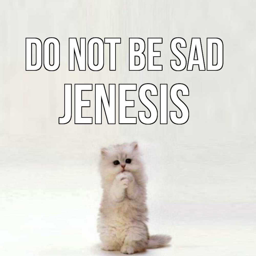 Greetings card с именем, Jenesis Do not be sad грустный кот Greetings with text for free download 