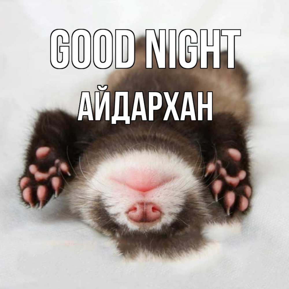 Greetings card с именем, Айдархан Good night зверек Greetings with text for free download 