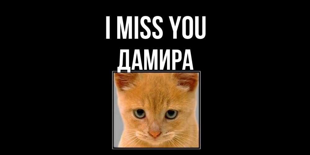 Greetings card с именем, ДАМИРА I miss you открытки рыжий котенок скучает по тебе Greetings with text for free download 