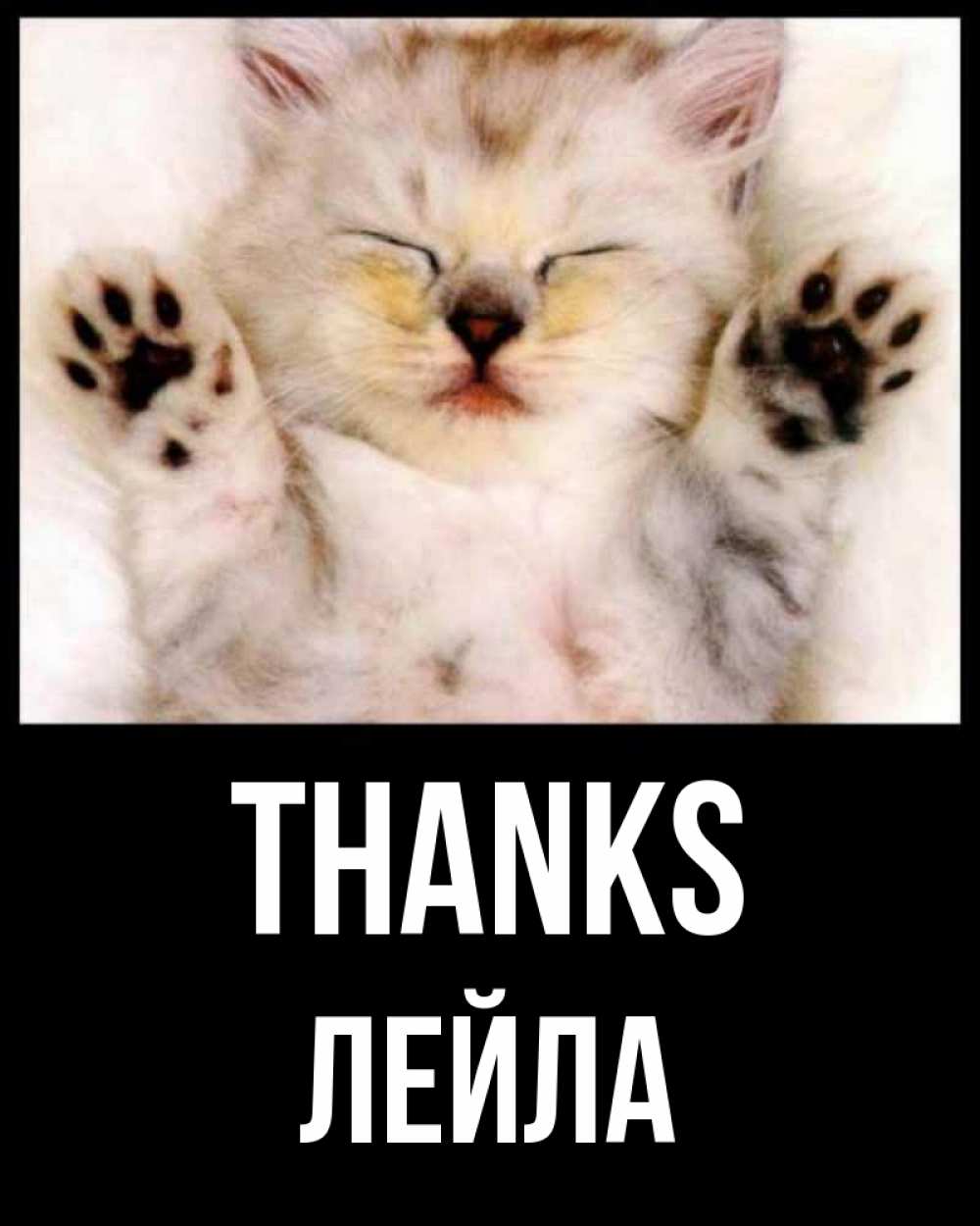 Greetings card с именем, Лейла Thanks маленький котенок Greetings with text for free download 