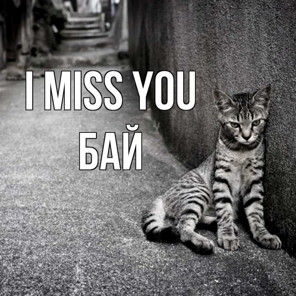 Greetings card с именем, Бай I miss you одиноко котику Greetings with text for free download 