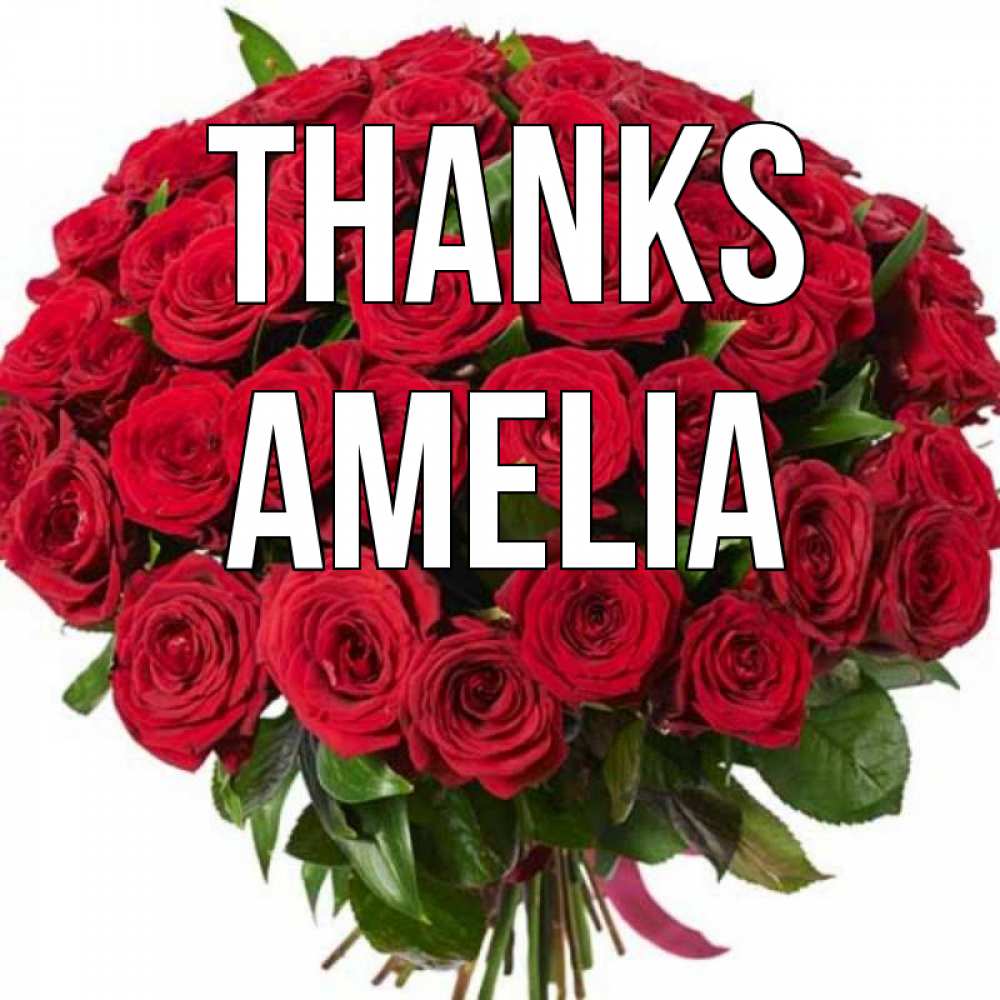 Greetings card с именем, Amelia Thanks букет красных роз Greetings with text for free download 