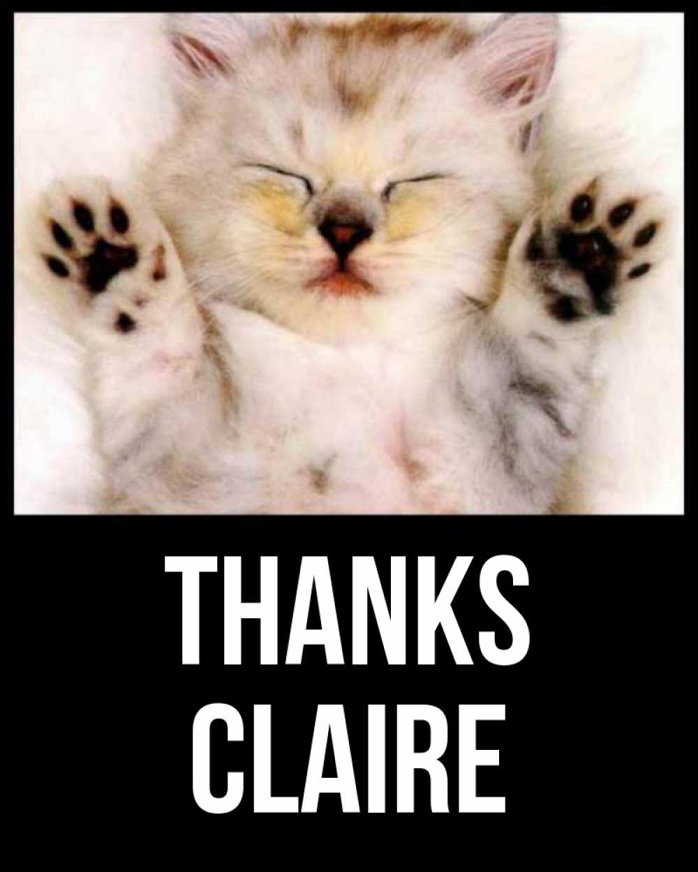 Greetings card с именем, Claire Thanks маленький котенок Greetings with text for free download 