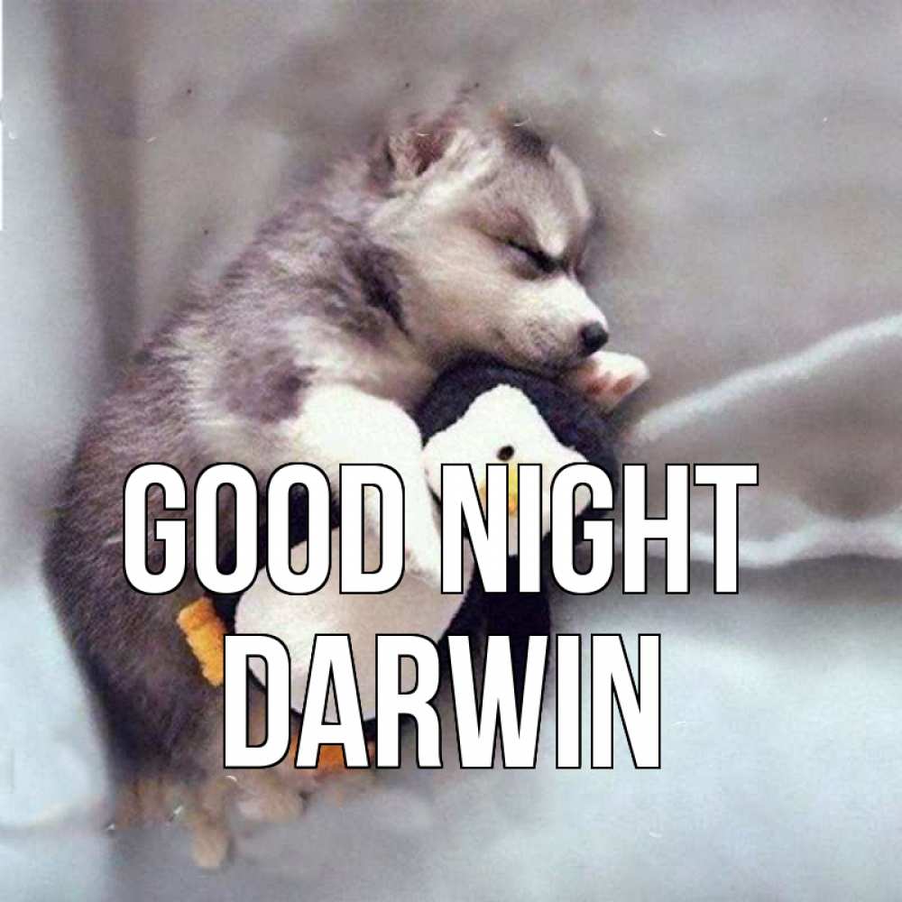 Greetings card с именем, Darwin Good night обнимашки щенка и пингвина Greetings with text for free download 