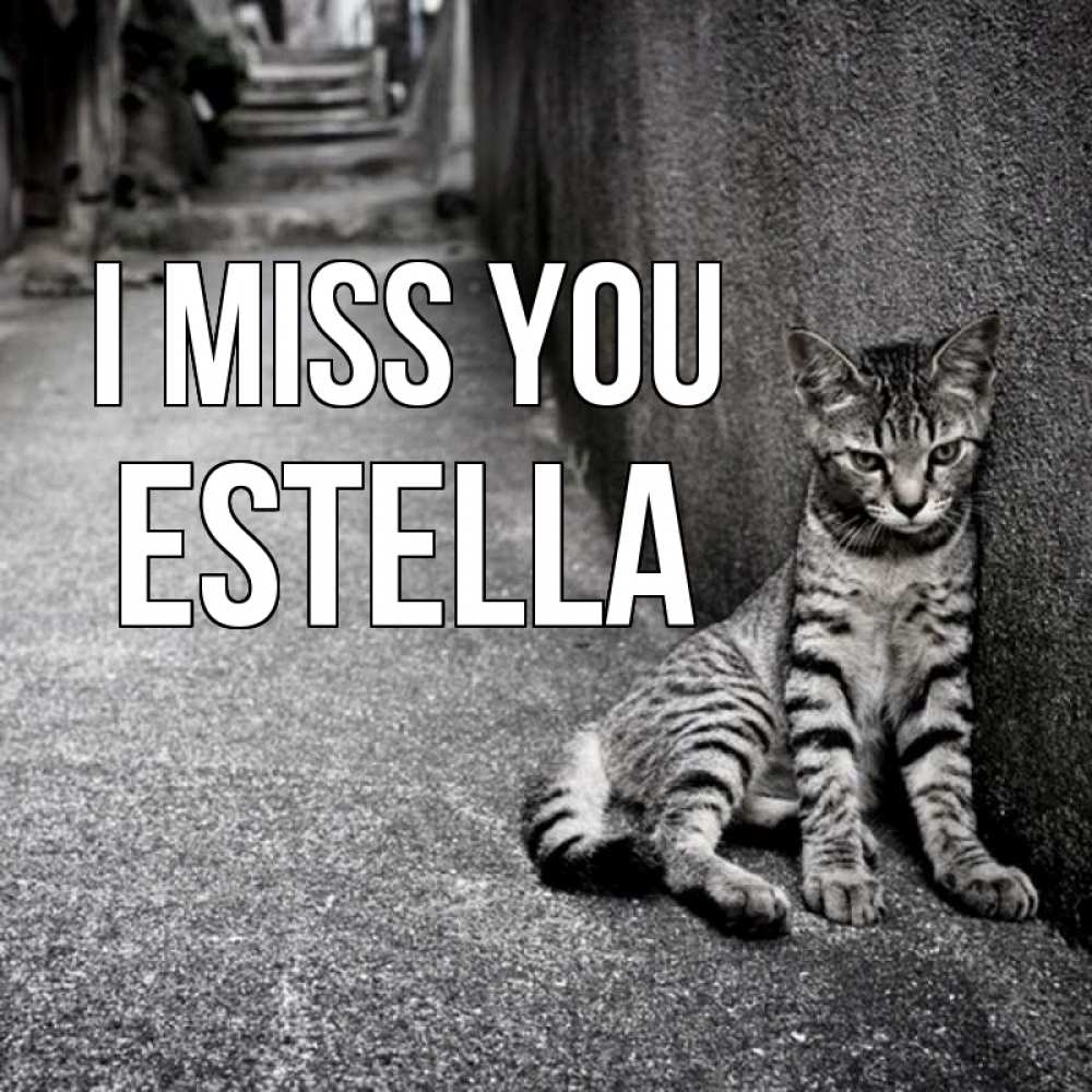 Greetings card с именем, Estella I miss you одиноко котику Greetings with text for free download 