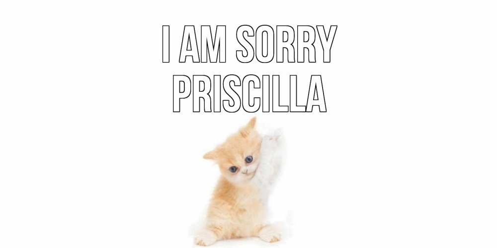 Greetings card с именем, Priscilla I am sorry кот Greetings with text for free download 