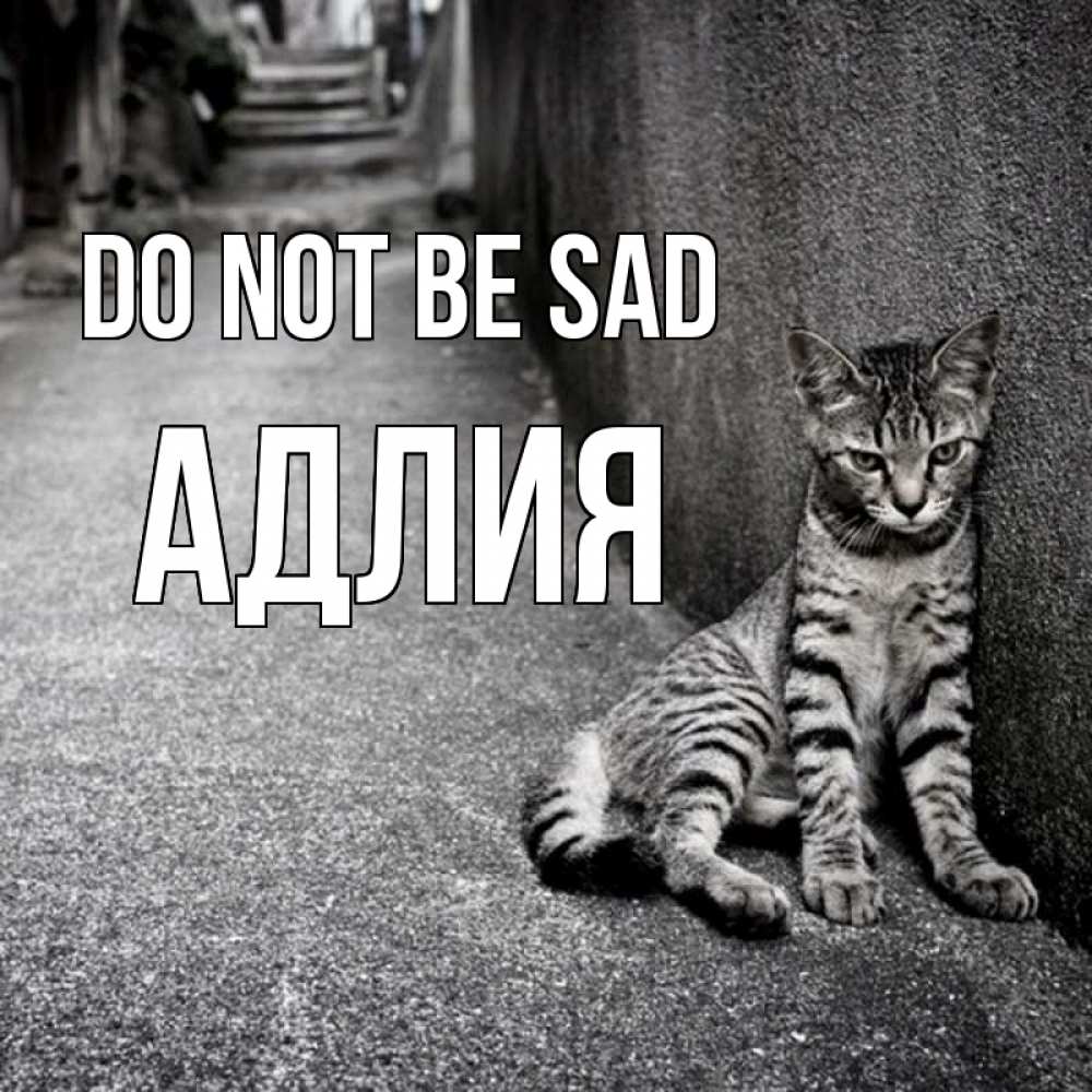 Greetings card с именем, АДЛИЯ Do not be sad скучающий котик Greetings with text for free download 