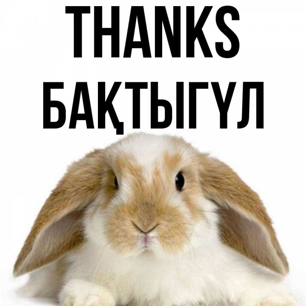 Greetings card с именем, БАҚТЫГҮЛ Thanks коричнево белый заяц Greetings with text for free download 