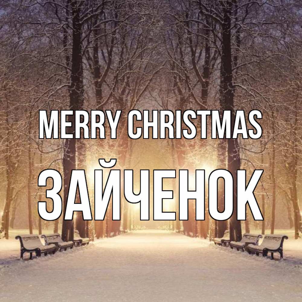 Greetings card с именем, Зайченок Merry Christmas зима, парк, фонарь, лес Greetings with text for free download 