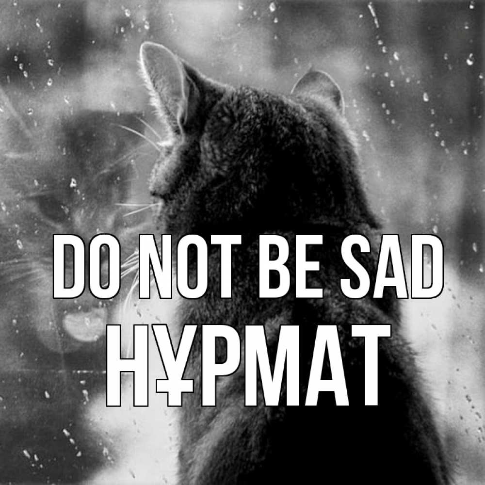 Greetings card с именем, Нұрмат Do not be sad отражение кота 1 Greetings with text for free download 