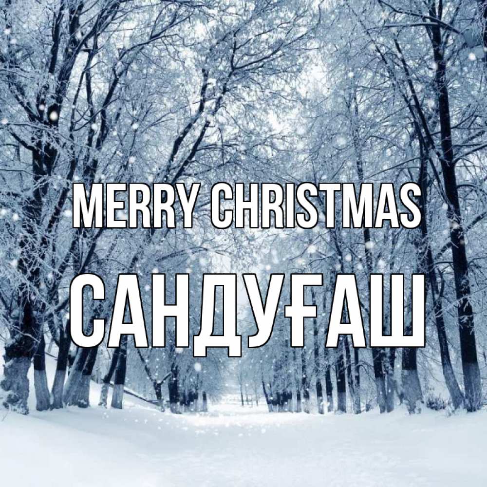Greetings card с именем, САНДУҒАШ Merry Christmas снег, лес, парк Greetings with text for free download 