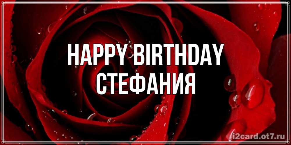 Greetings card с именем, Стефания Happy Birthday крупная бордовая роза Greetings with text for free download 