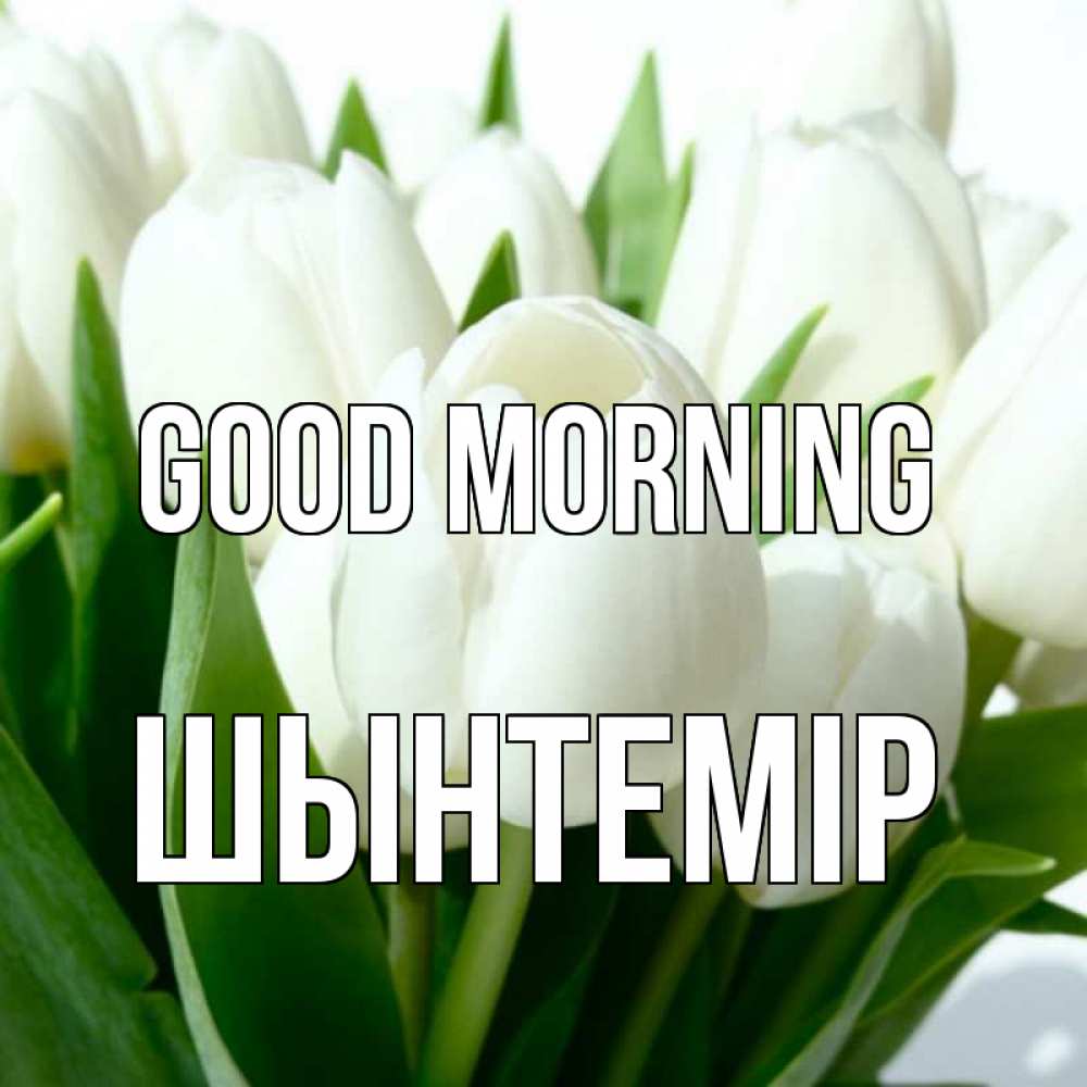 Greetings card с именем, ШЫНТЕМІР Good morning открытки на каждый день по именам Greetings with text for free download 