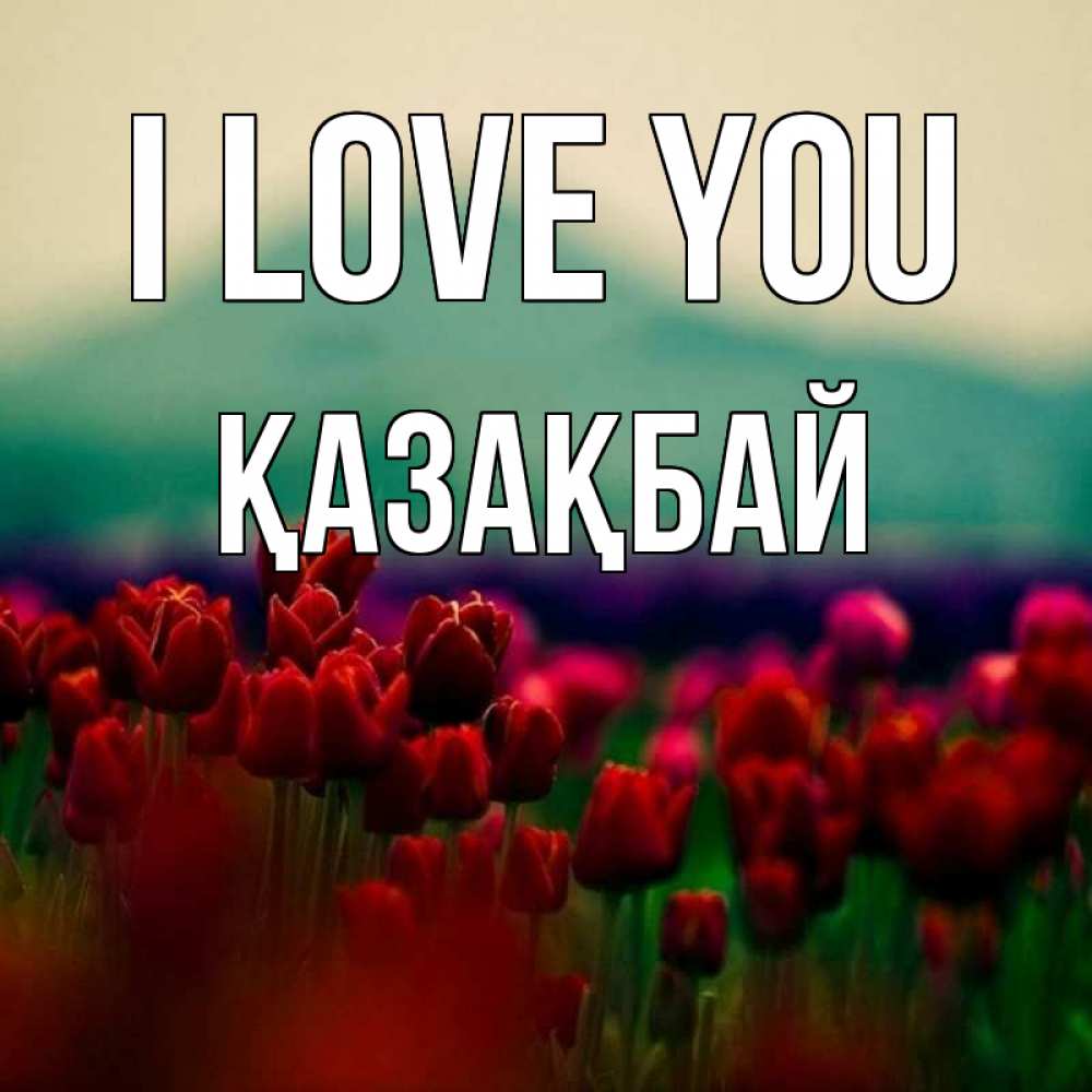 Greetings card с именем, Қазақбай I love you тюльпаны 4 Greetings with text for free download 