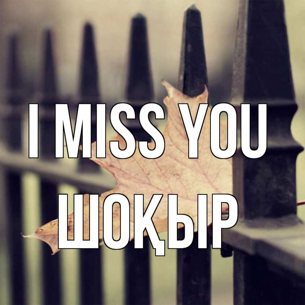 Greetings card с именем, ШОҚЫР I miss you очень скучно Greetings with text for free download 