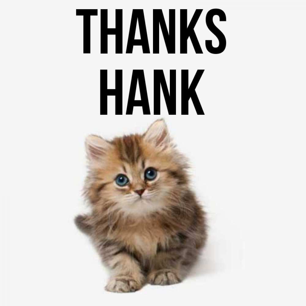 Greetings card с именем, Hank Thanks пушистый котик Greetings with text for free download 