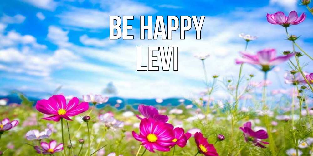 Greetings card с именем, Levi Be happy поле цветов Greetings with text for free download 