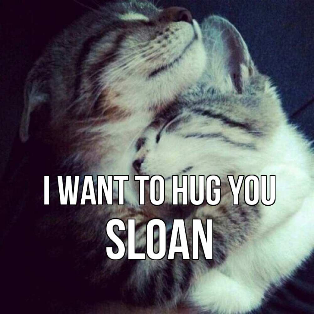 Greetings card с именем, Sloan I want to hug you полосатики Greetings with text for free download 