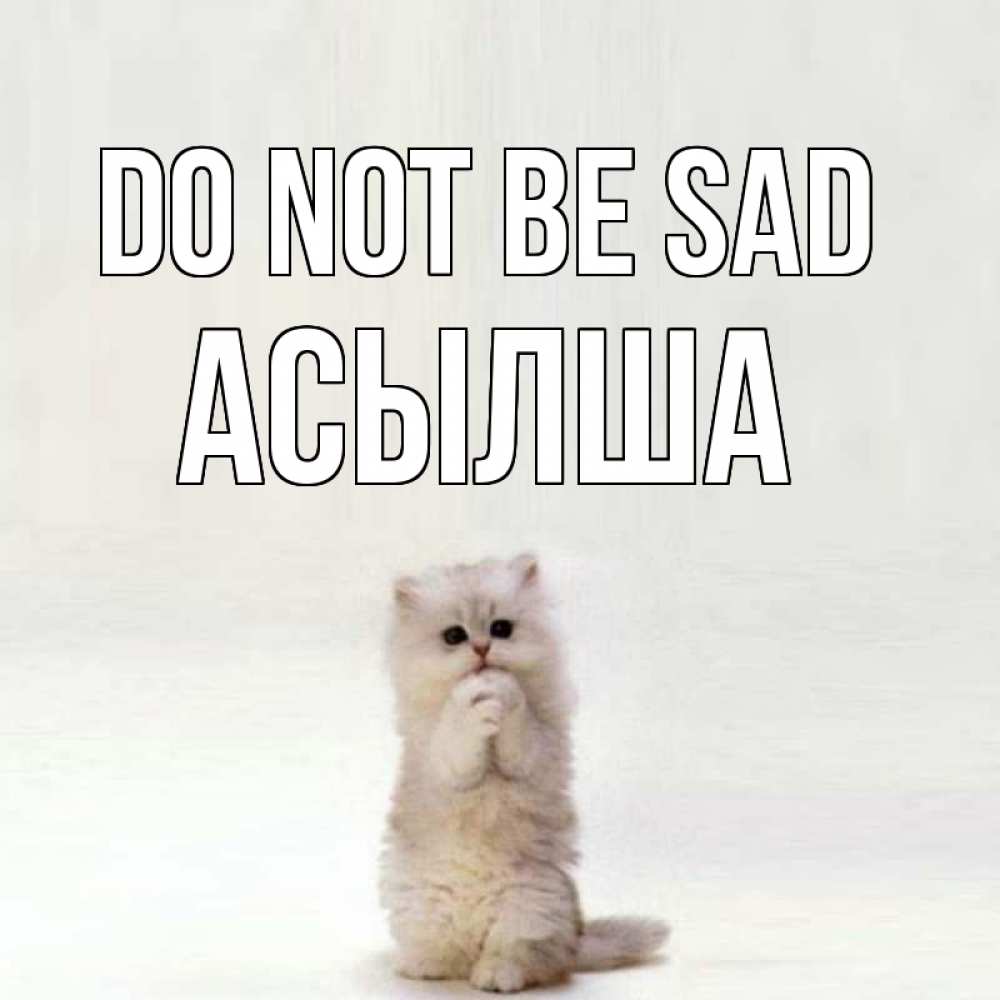 Greetings card с именем, АСЫЛША Do not be sad грустный кот Greetings with text for free download 