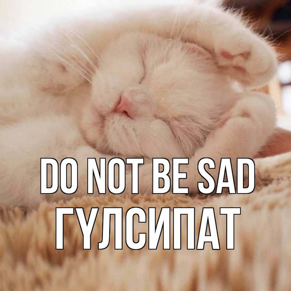 Greetings card с именем, ГҮЛСИПАТ Do not be sad белый кот Greetings with text for free download 