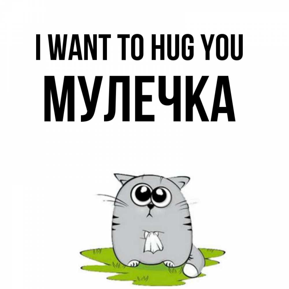Greetings card с именем, Мулечка I want to hug you котик теребит платочек сидя на травке Greetings with text for free download 