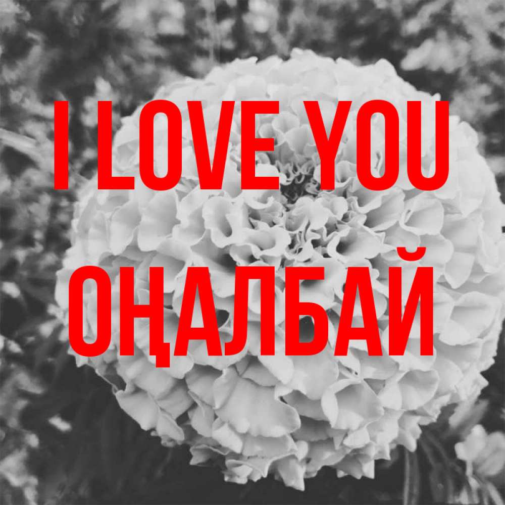 Greetings card с именем, ОҢАЛБАЙ I love you подпись Greetings with text for free download 