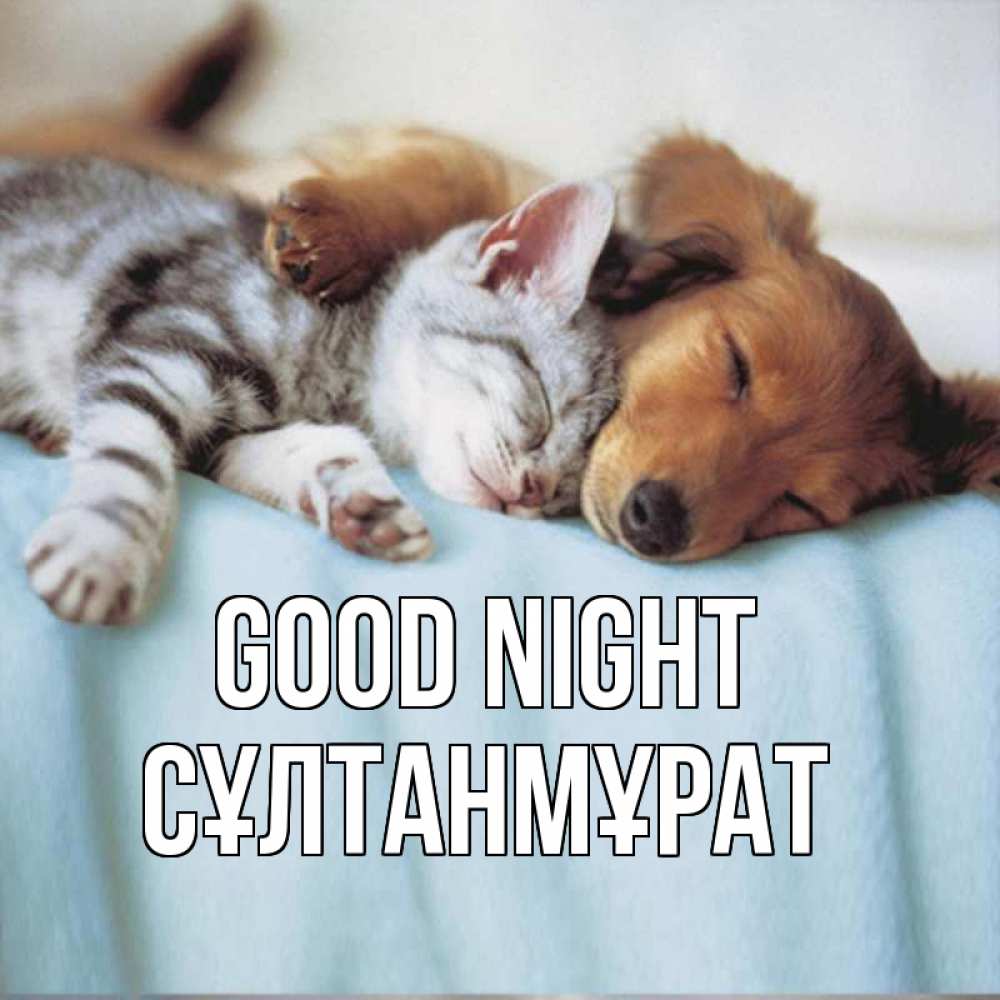 Greetings card с именем, СҰЛТАНМҰРАТ Good night с животными Greetings with text for free download 