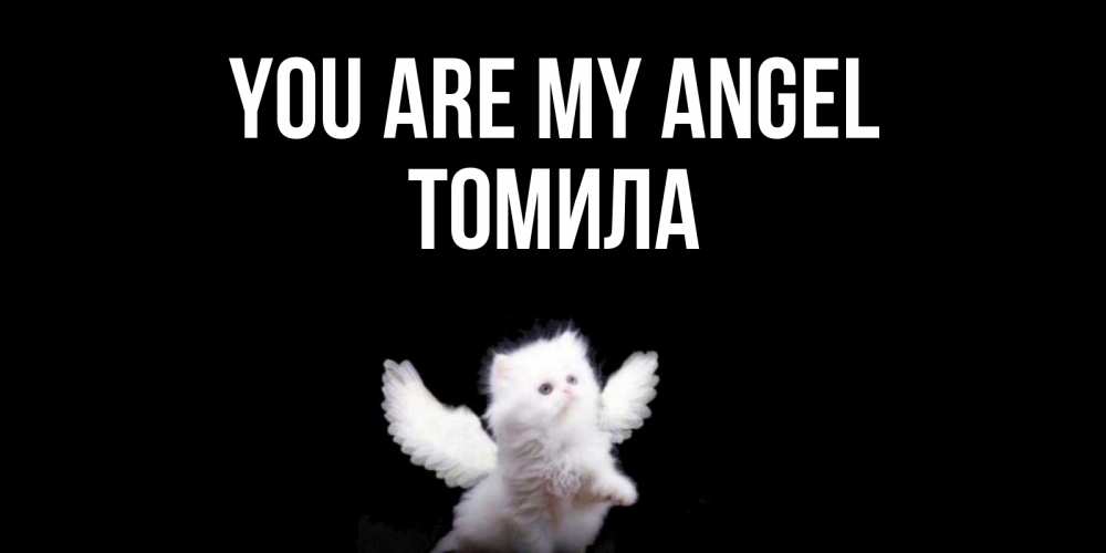 Greetings card с именем, Томила You are my angel Кот ангел Greetings with text for free download 