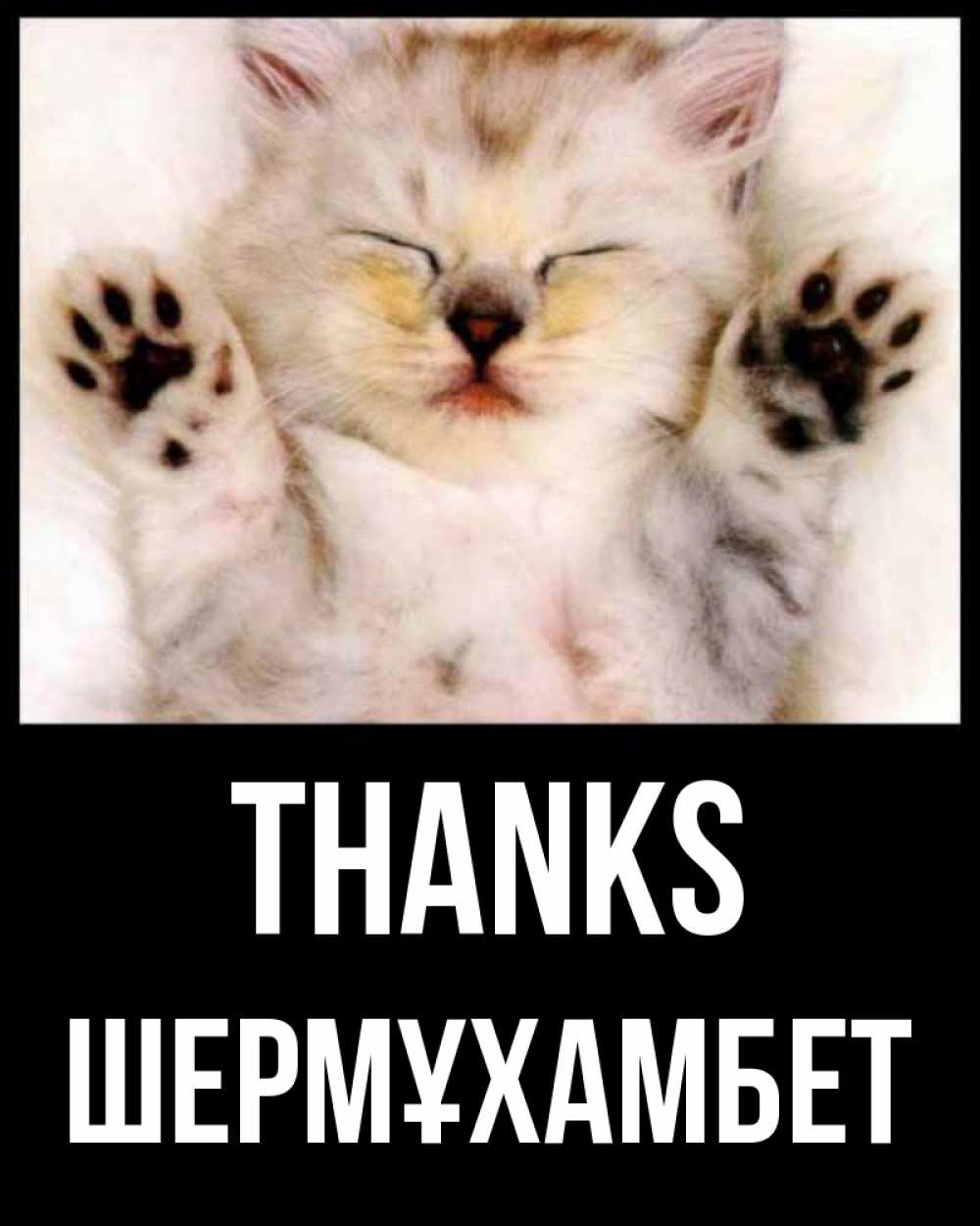 Greetings card с именем, ШЕРМҰХАМБЕТ Thanks маленький котенок Greetings with text for free download 