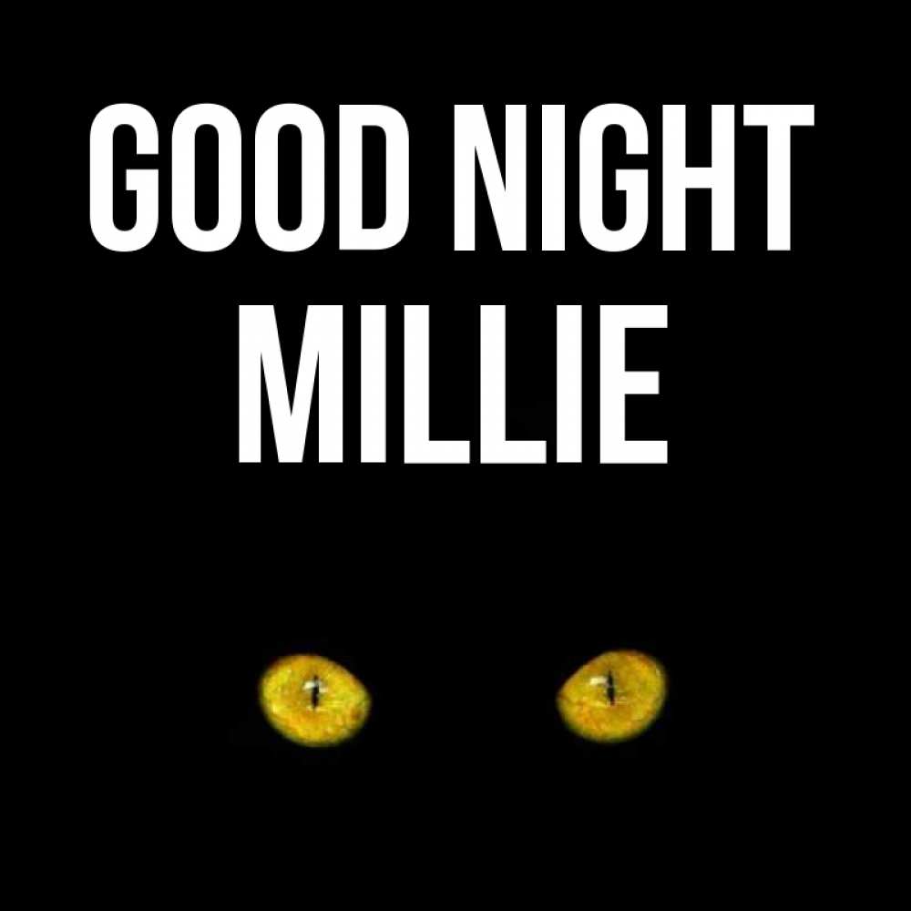 Greetings card с именем, Millie Good night сладких снов бесстрашный мой дружочек Greetings with text for free download 