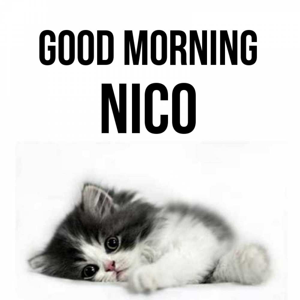 Greetings card с именем, Nico Good morning кот лапки Greetings with text for free download 