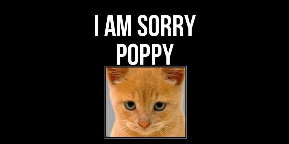 Greetings card с именем, Poppy I am sorry рыжий грустный кот просит прощения Greetings with text for free download 