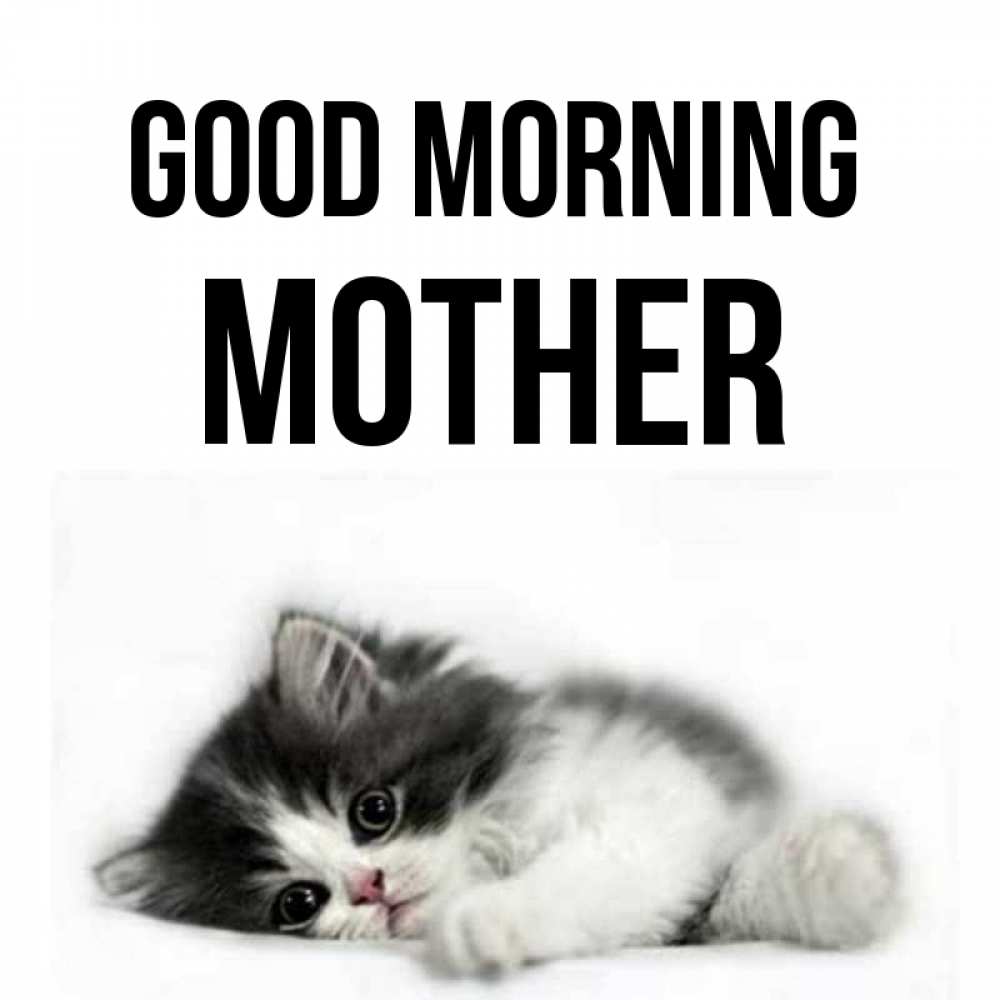 Greetings card с именем, mother Good morning кот лапки Greetings with text for free download 