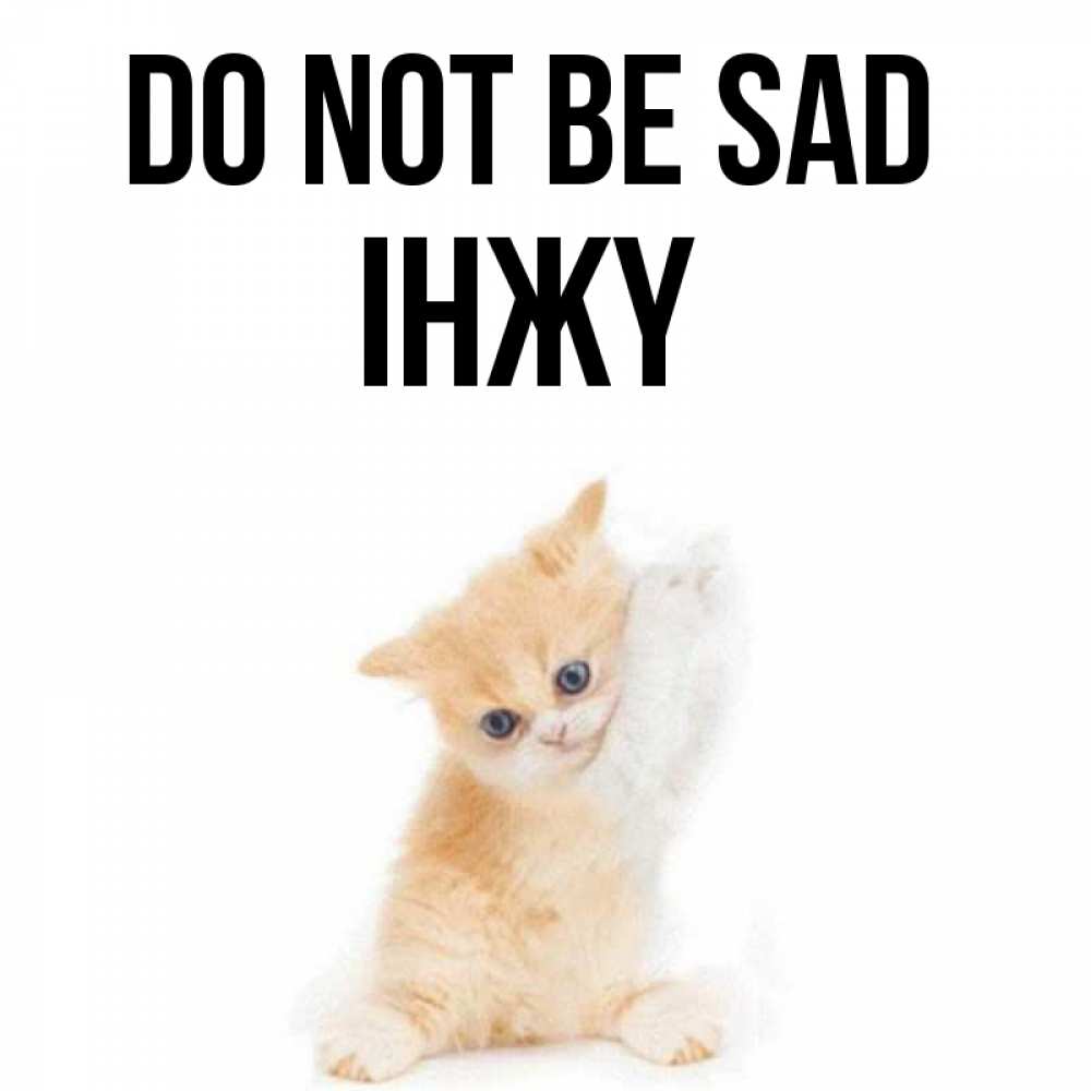 Greetings card с именем, ІНЖҮ Do not be sad просящий кот Greetings with text for free download 
