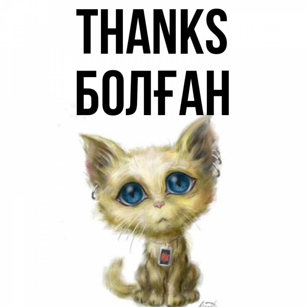 Greetings card с именем, Болған Thanks рисованный кот благодарит вас Greetings with text for free download 