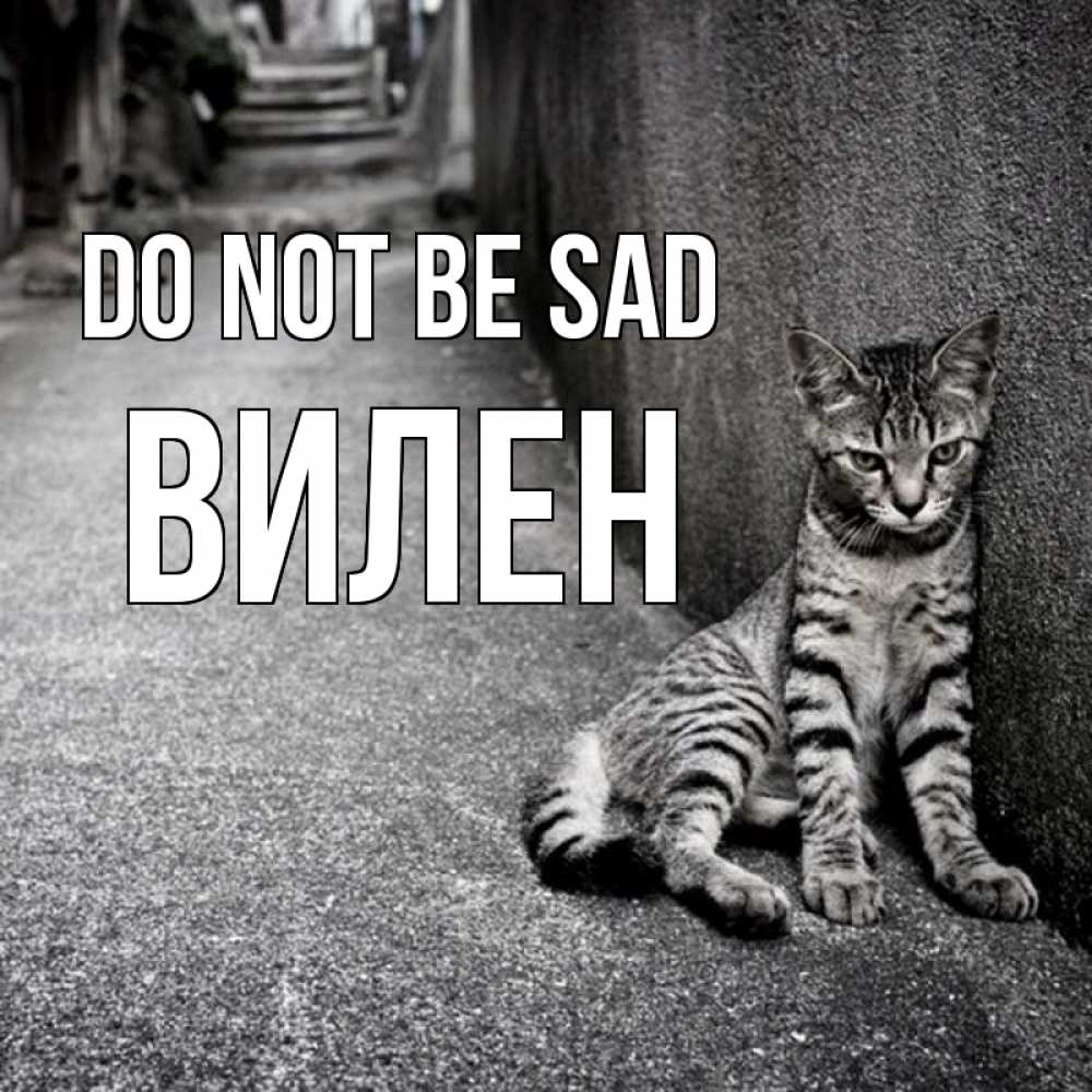 Greetings card с именем, Вилен Do not be sad скучающий котик Greetings with text for free download 